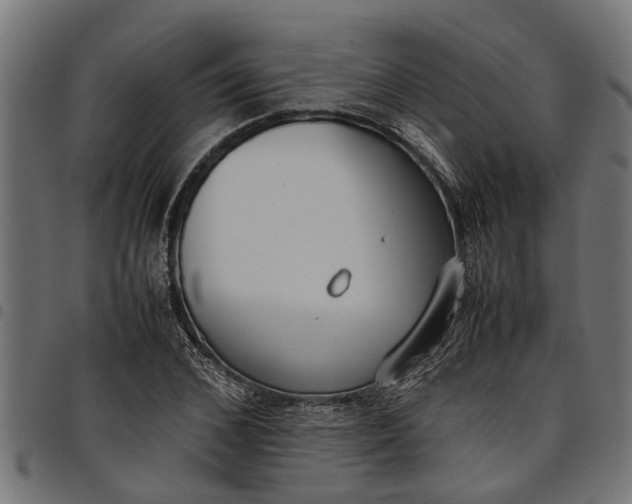 X0000097800976200803281031