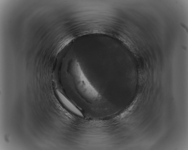 X0000097800977200803281031