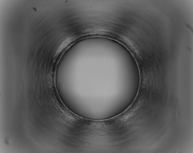 X0000097800978200803281031