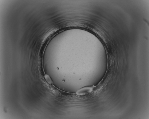 X0000097800979200803281031