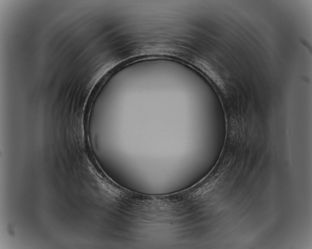 X0000097800980200803281031