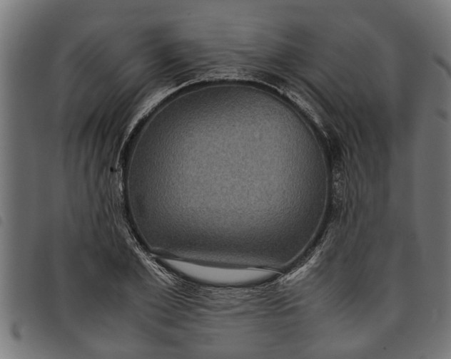 X0000097800981200803281031