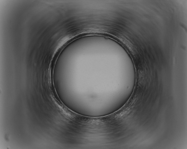 X0000097800982200803281031