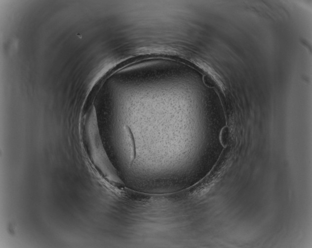 X0000097800983200803281031