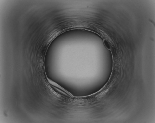 X0000097800985200803281031