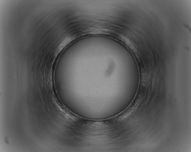 X0000097800986200803281031