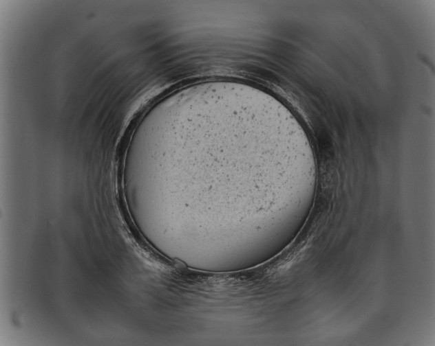 X0000097800987200803281031