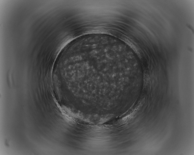 X0000097800988200803281031