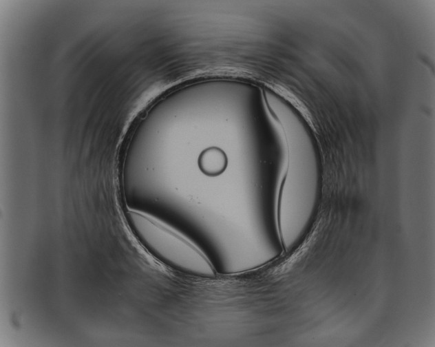 X0000097800989200803281031