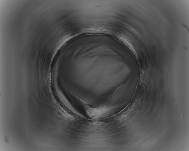 X0000097800992200803281031