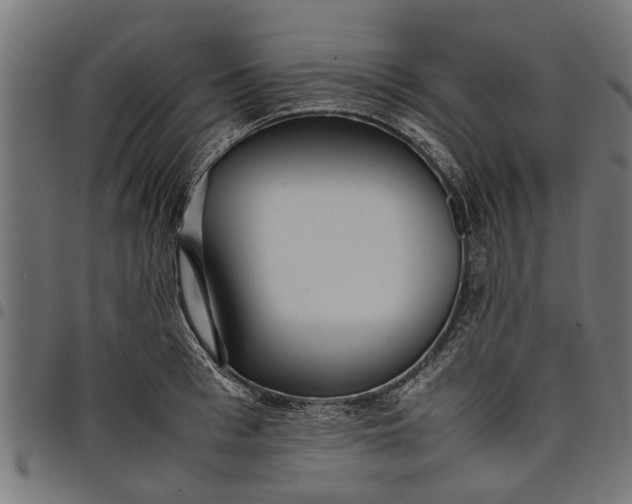 X0000097800993200803281031