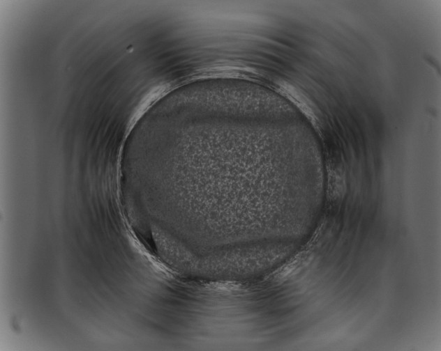 X0000097800994200803281031