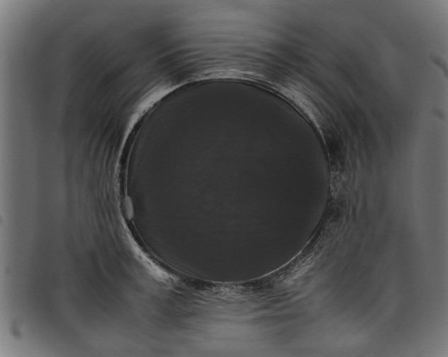 X0000097800995200803281031