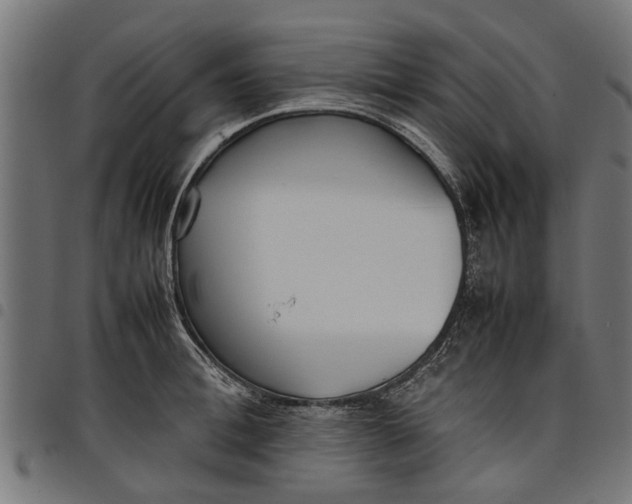 X0000097800996200803281031