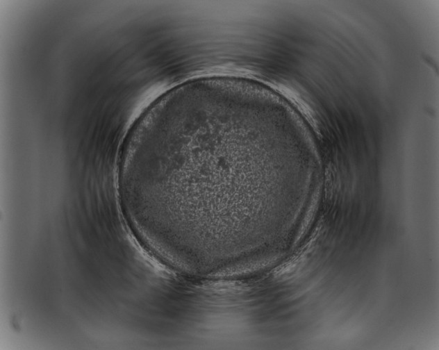 X0000097800998200803281031