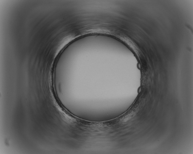 X0000097800999200803281031