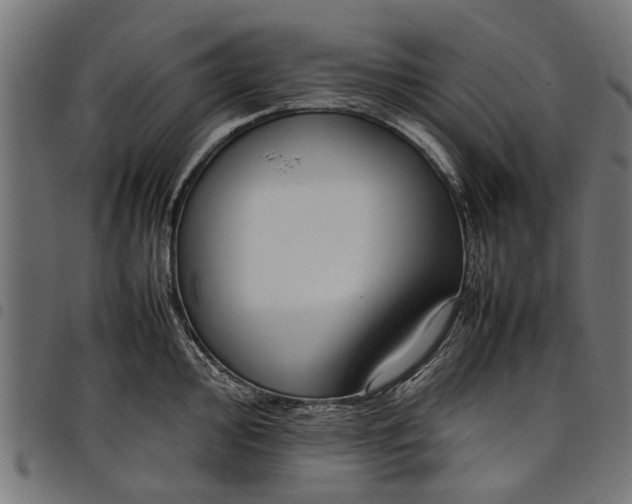 X0000097801000200803281031