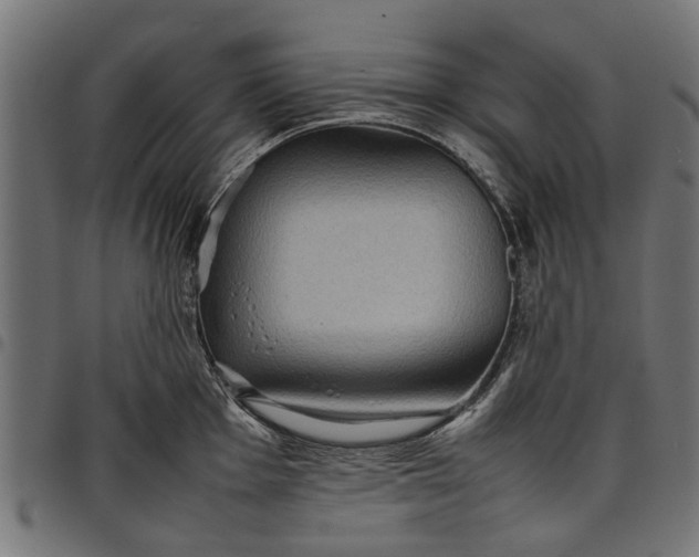 X0000097801001200803281031