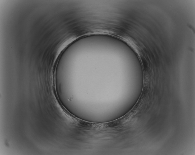 X0000097801003200803281031