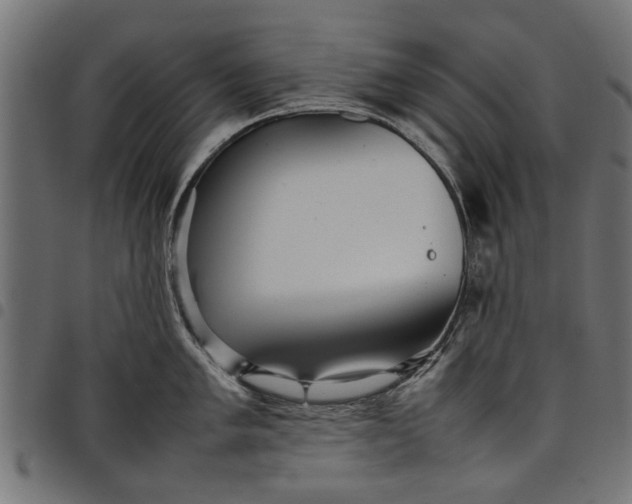 X0000097801005200803281031