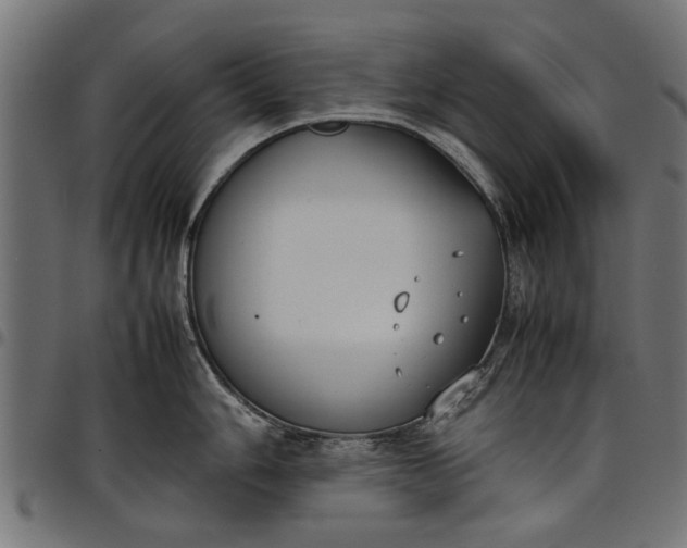 X0000097801006200803281031