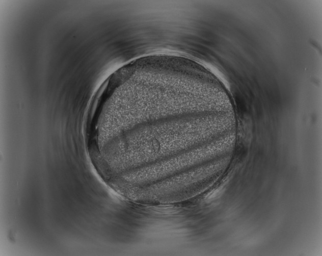 X0000097801007200803281031