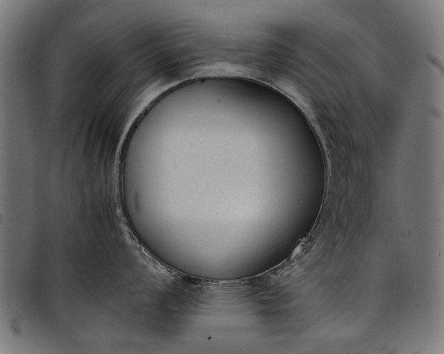 X0000097801008200803281031