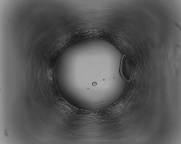 X0000097801010200803281030