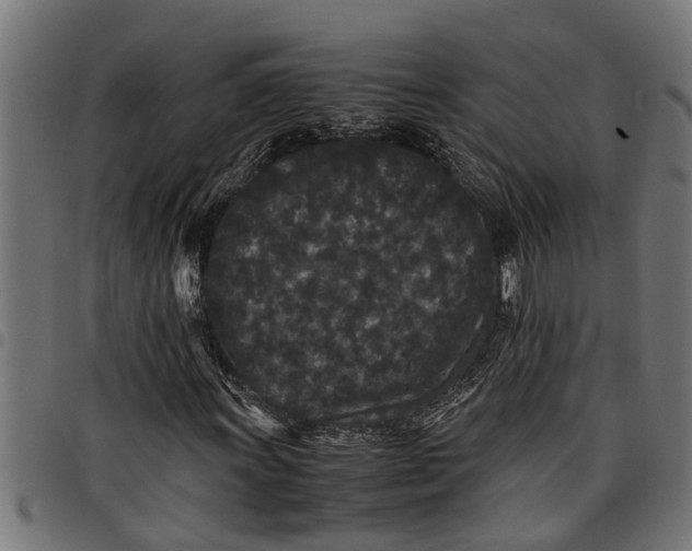 X0000097801011200803281030