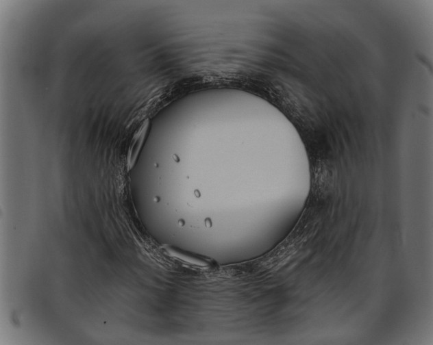 X0000097801012200803281030