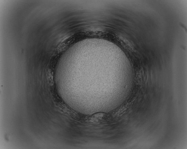 X0000097801013200803281030