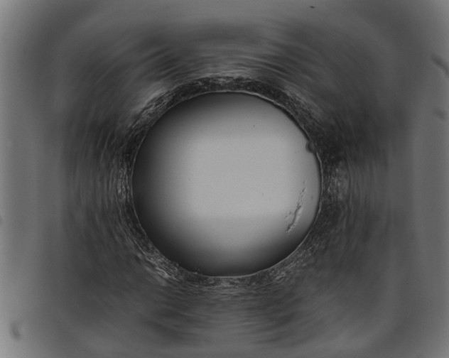 X0000097801014200803281030