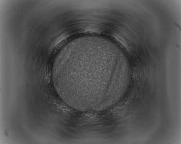 X0000097801015200803281030