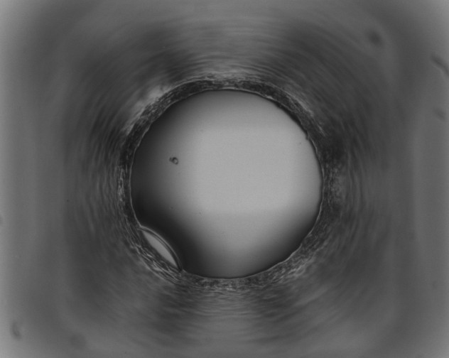 X0000097801016200803281030