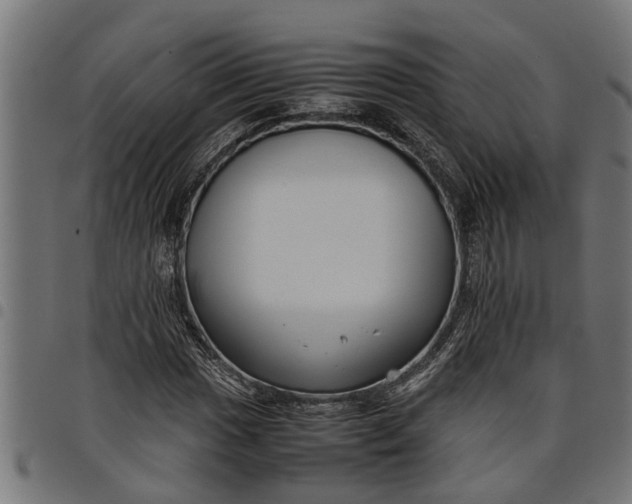 X0000097801017200803281030