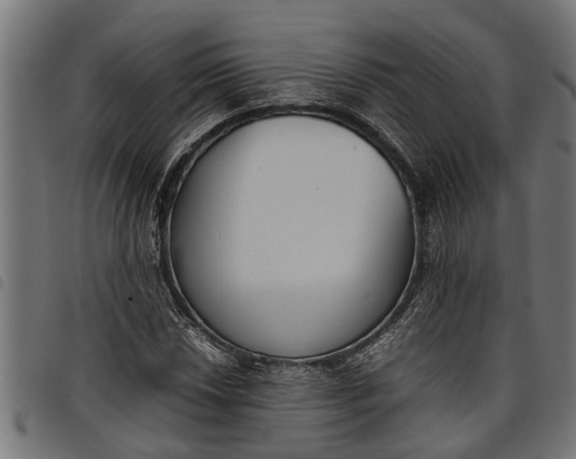 X0000097801018200803281030