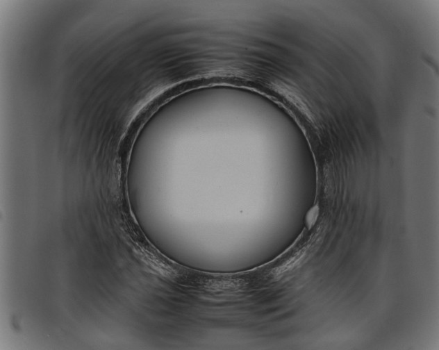 X0000097801021200803281030