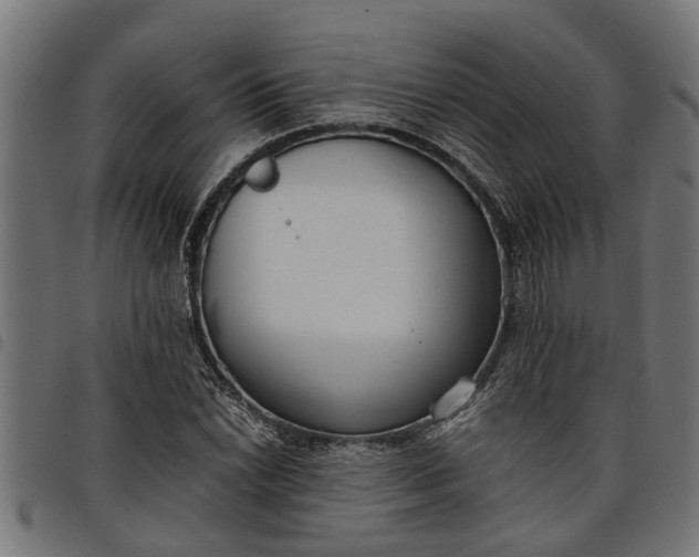 X0000097801022200803281030