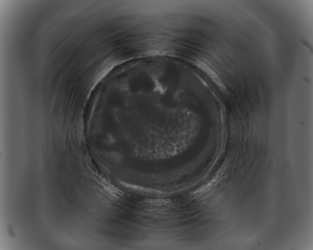 X0000097801023200803281030