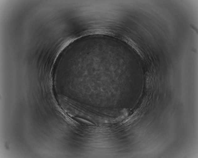 X0000097801024200803281030