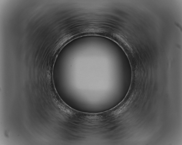 X0000097801025200803281030