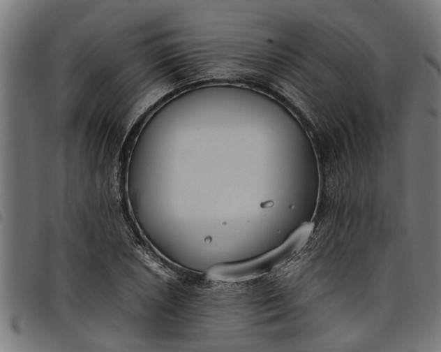 X0000097801026200803281030