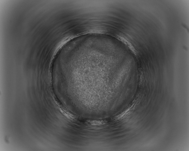 X0000097801027200803281030