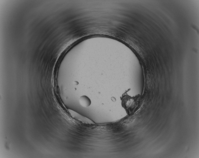 X0000097801028200803281030