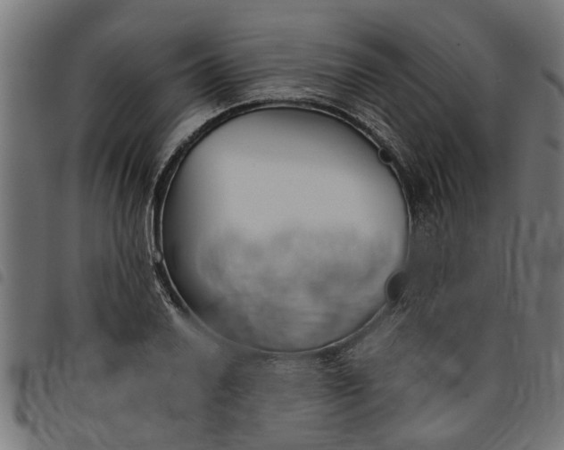 X0000097801030200803281030