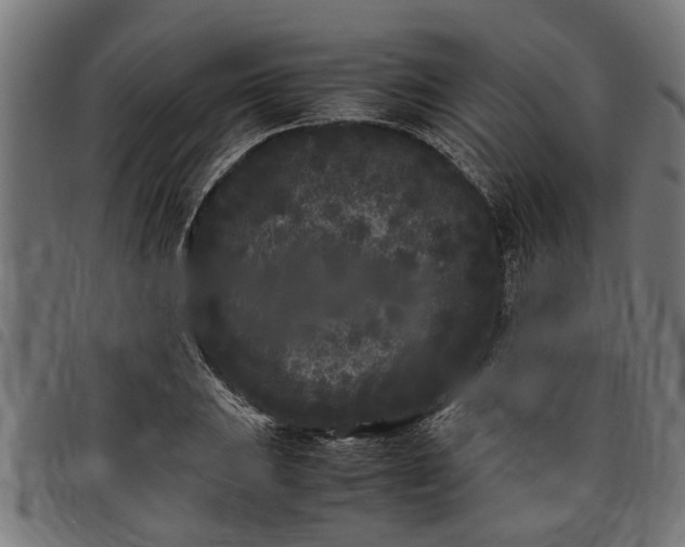 X0000097801031200803281030