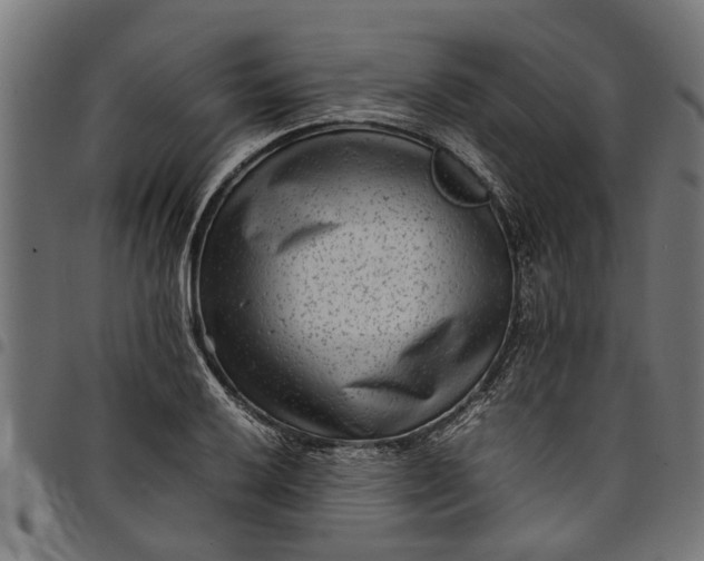 X0000097801032200803281030