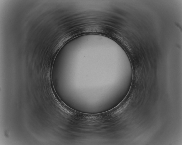 X0000097801033200803281030