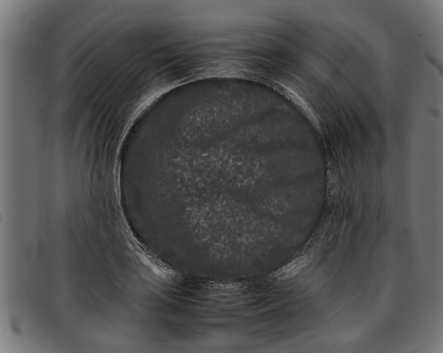 X0000097801035200803281030