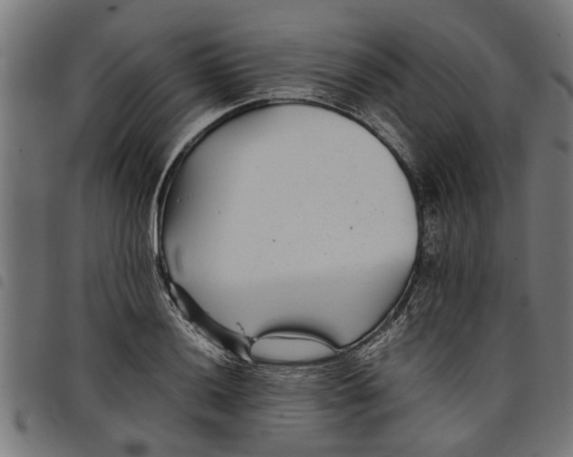 X0000097801036200803281030